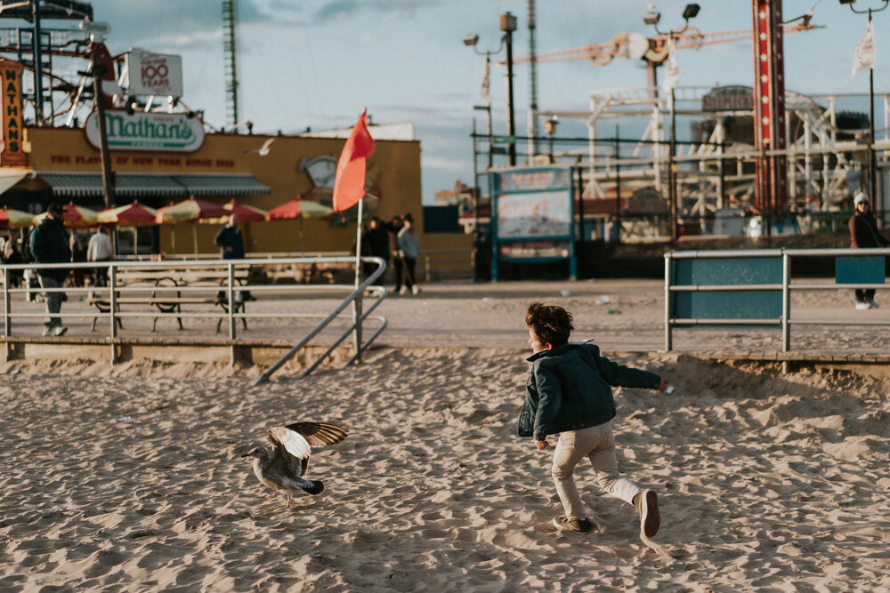 Young boy runs after seagulls during family session at coney island beach
