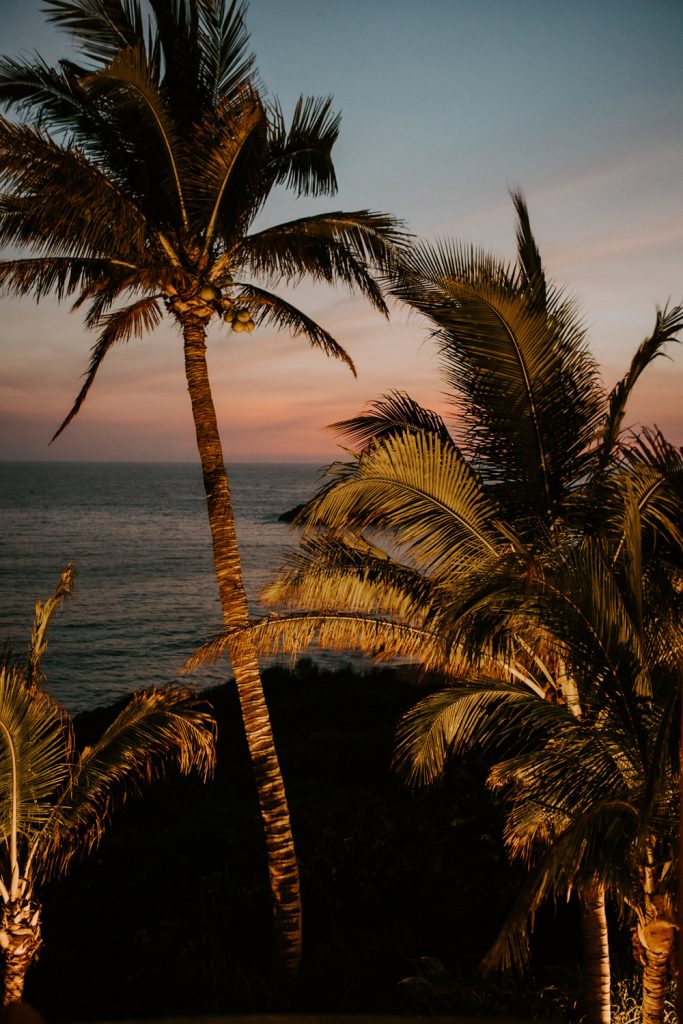 Sunset over the ocean in Mexico with Palm trees in the foreground. Destination wedding.